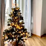 - Inkl Parking And Ticket Apartment Bern